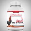 gamefowl conditioning|Enhancing the Performance of the Gamefowls.